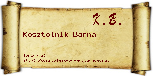 Kosztolnik Barna névjegykártya